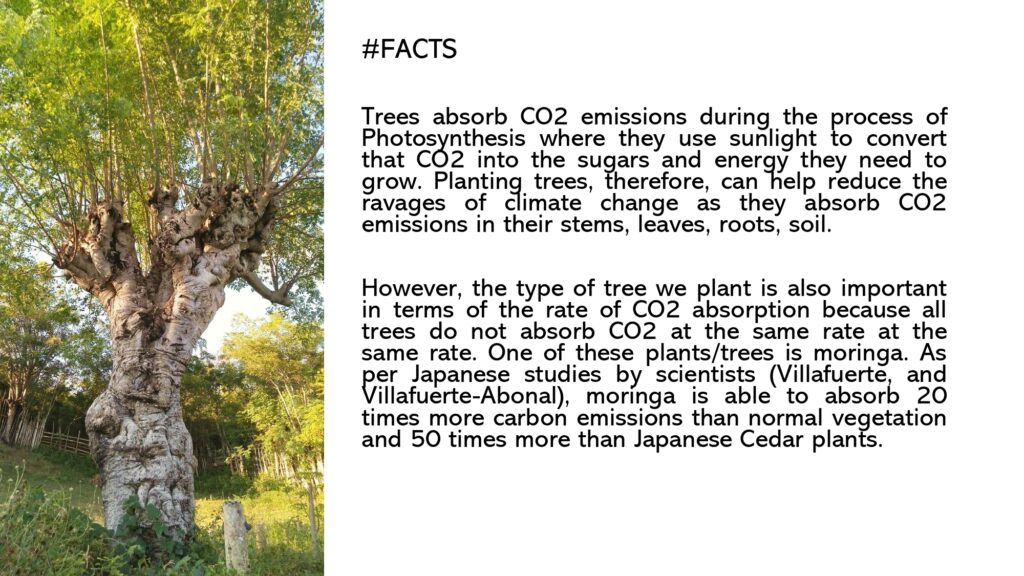 Beyond Moringa 2023_page-0007
