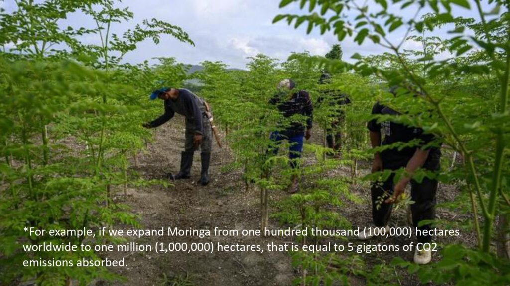 Beyond Moringa 2023_page-0009