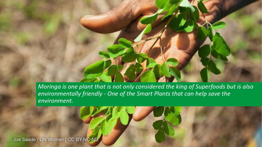 Beyond Moringa 2023_page-0010