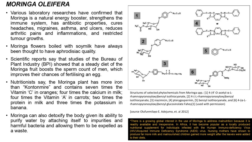 Beyond Moringa 2023_page-0013