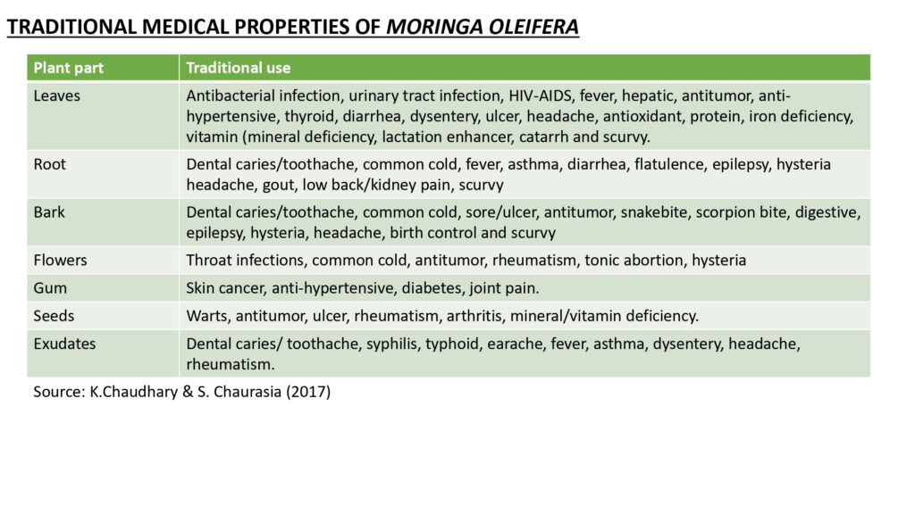 Beyond Moringa 2023_page-0015